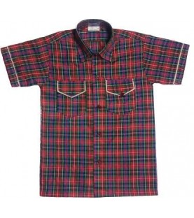 DAV Nerul School Uniform Shirt for Boys